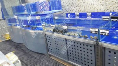 冰鮮魚池系列